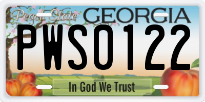 GA license plate PWS0122