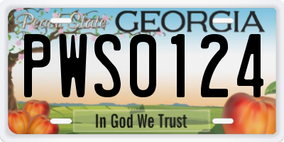 GA license plate PWS0124