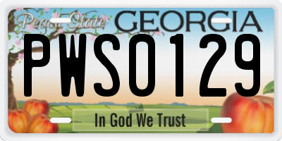 GA license plate PWS0129