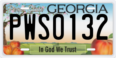 GA license plate PWS0132