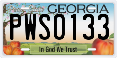 GA license plate PWS0133