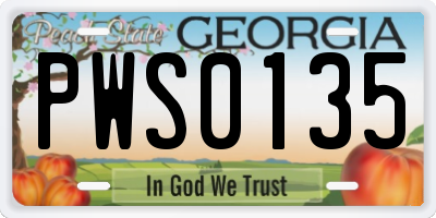 GA license plate PWS0135