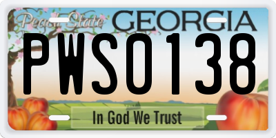 GA license plate PWS0138