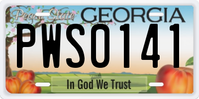 GA license plate PWS0141