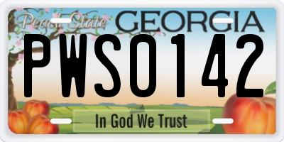 GA license plate PWS0142