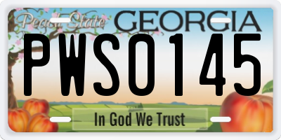 GA license plate PWS0145
