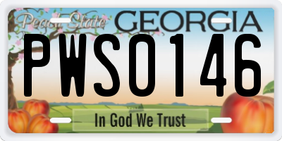 GA license plate PWS0146