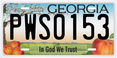 GA license plate PWS0153