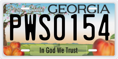 GA license plate PWS0154