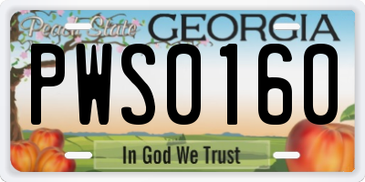 GA license plate PWS0160