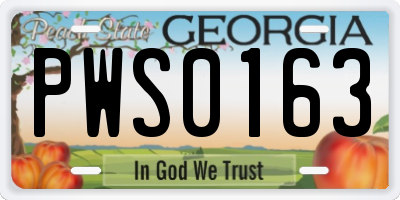 GA license plate PWS0163