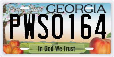 GA license plate PWS0164