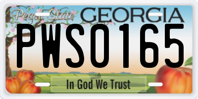GA license plate PWS0165