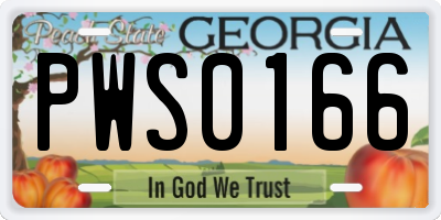 GA license plate PWS0166