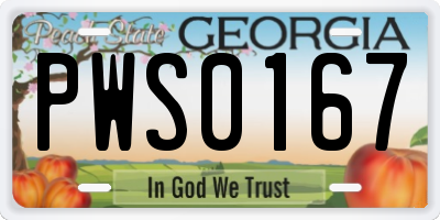 GA license plate PWS0167