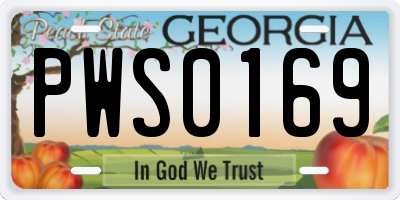 GA license plate PWS0169