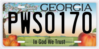 GA license plate PWS0170