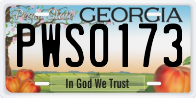 GA license plate PWS0173