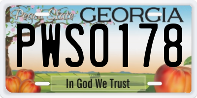 GA license plate PWS0178