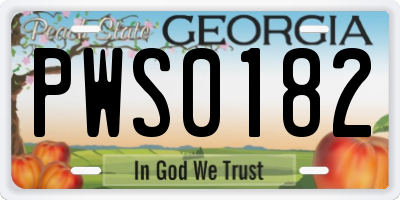 GA license plate PWS0182
