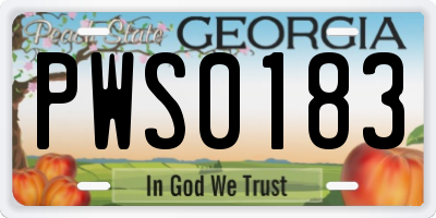 GA license plate PWS0183