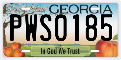 GA license plate PWS0185