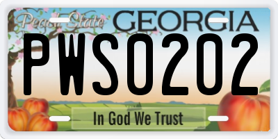GA license plate PWS0202