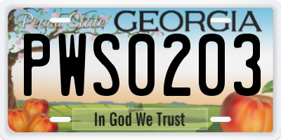 GA license plate PWS0203