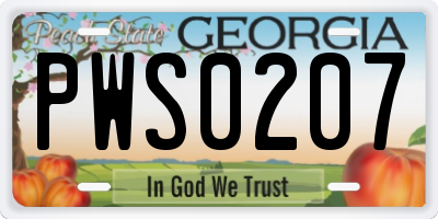 GA license plate PWS0207