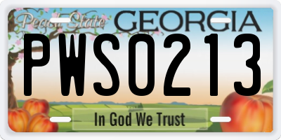 GA license plate PWS0213