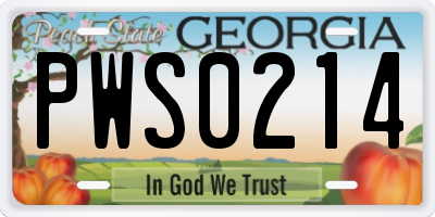 GA license plate PWS0214