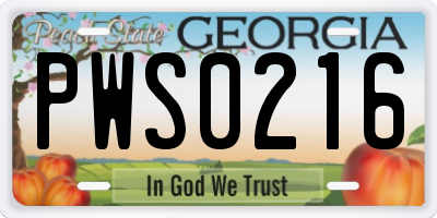 GA license plate PWS0216