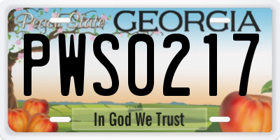 GA license plate PWS0217