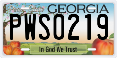 GA license plate PWS0219