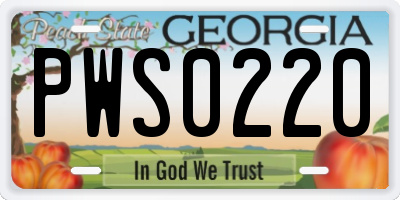 GA license plate PWS0220