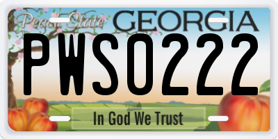 GA license plate PWS0222