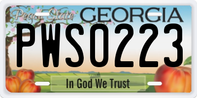 GA license plate PWS0223