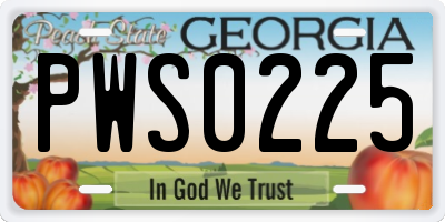 GA license plate PWS0225