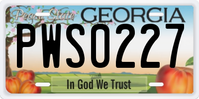 GA license plate PWS0227