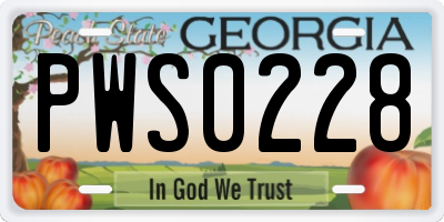 GA license plate PWS0228