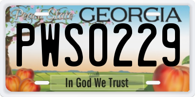GA license plate PWS0229