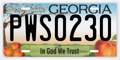 GA license plate PWS0230