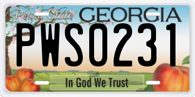 GA license plate PWS0231