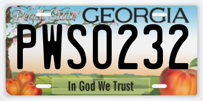 GA license plate PWS0232
