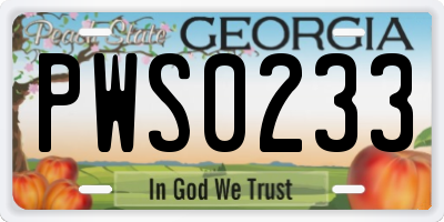 GA license plate PWS0233