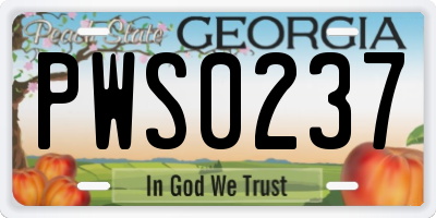 GA license plate PWS0237