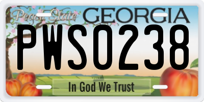 GA license plate PWS0238