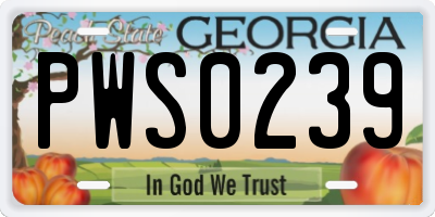 GA license plate PWS0239