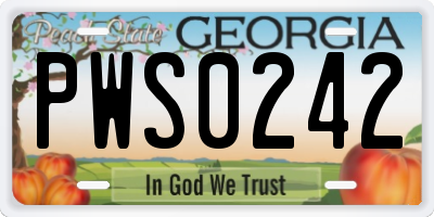 GA license plate PWS0242