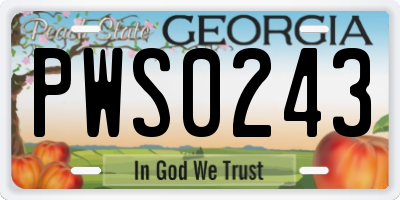 GA license plate PWS0243